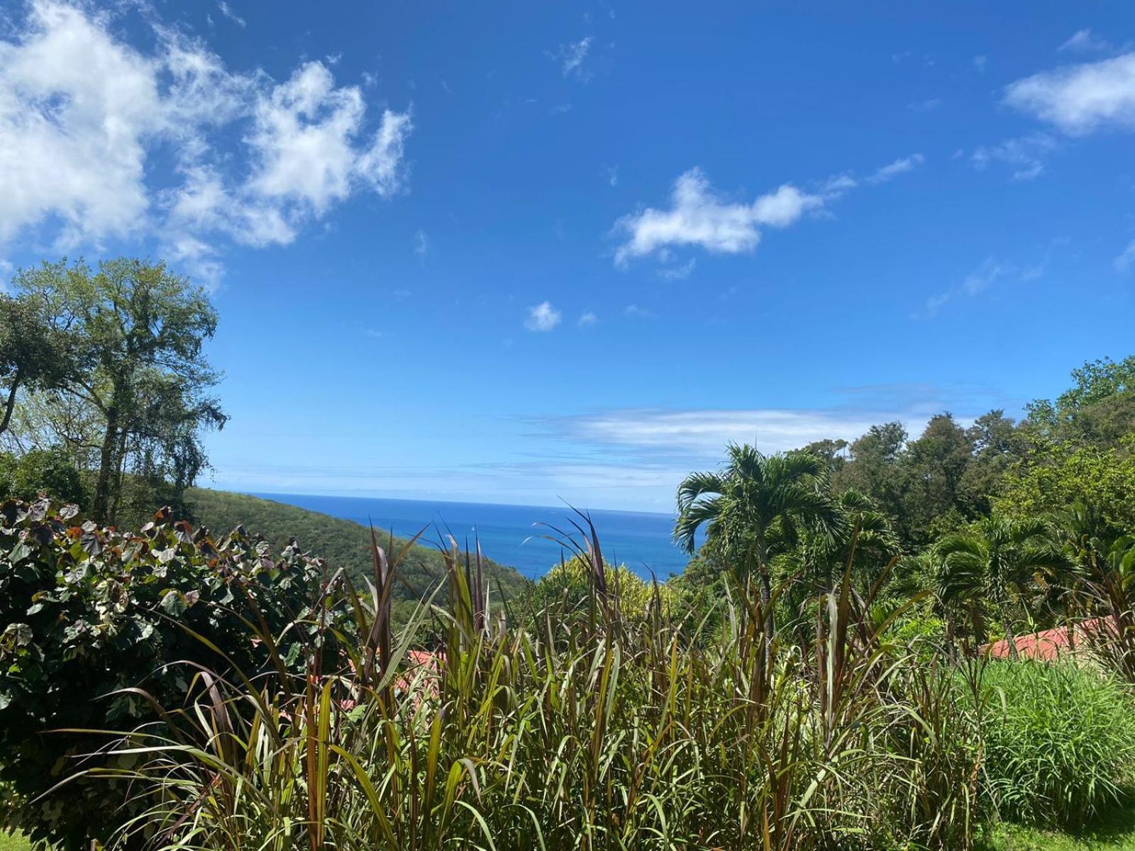 Le Domaine Du Rocher Noir Pointe-Noire Exteriér fotografie